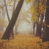 Трубчевский парк. Фотограф: Артём Кондарев